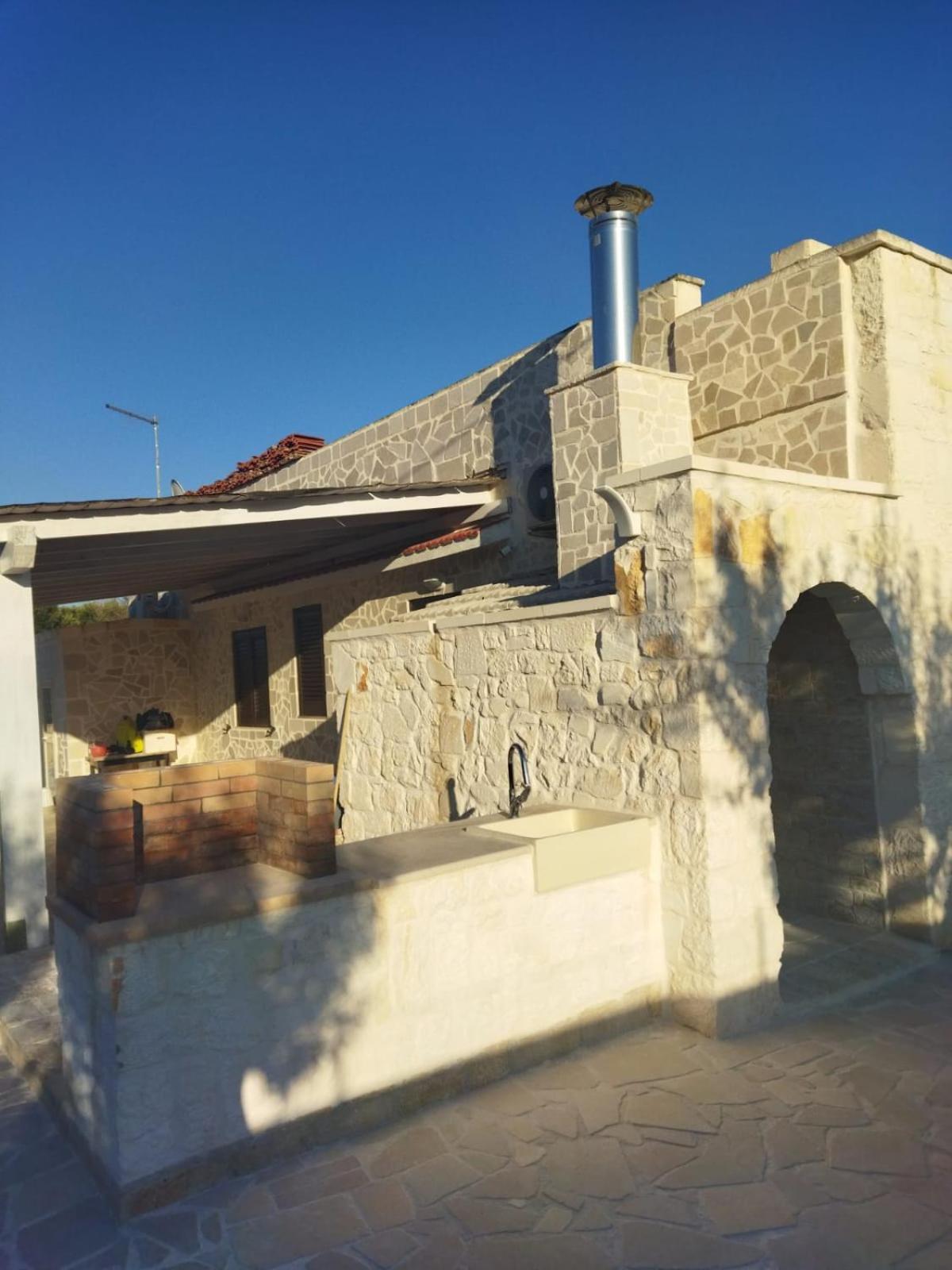 Brachychiton Ostuni