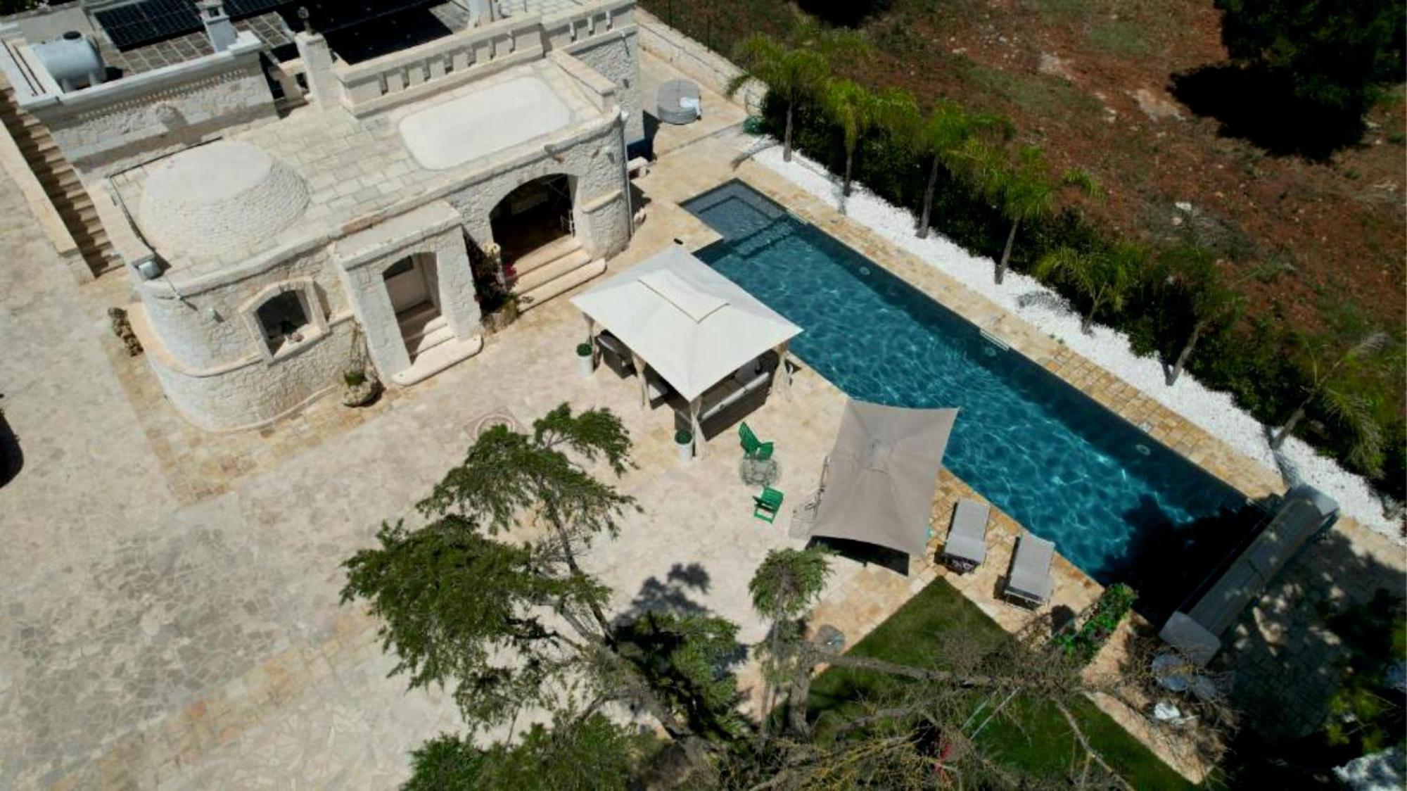 Brachychiton Ostuni