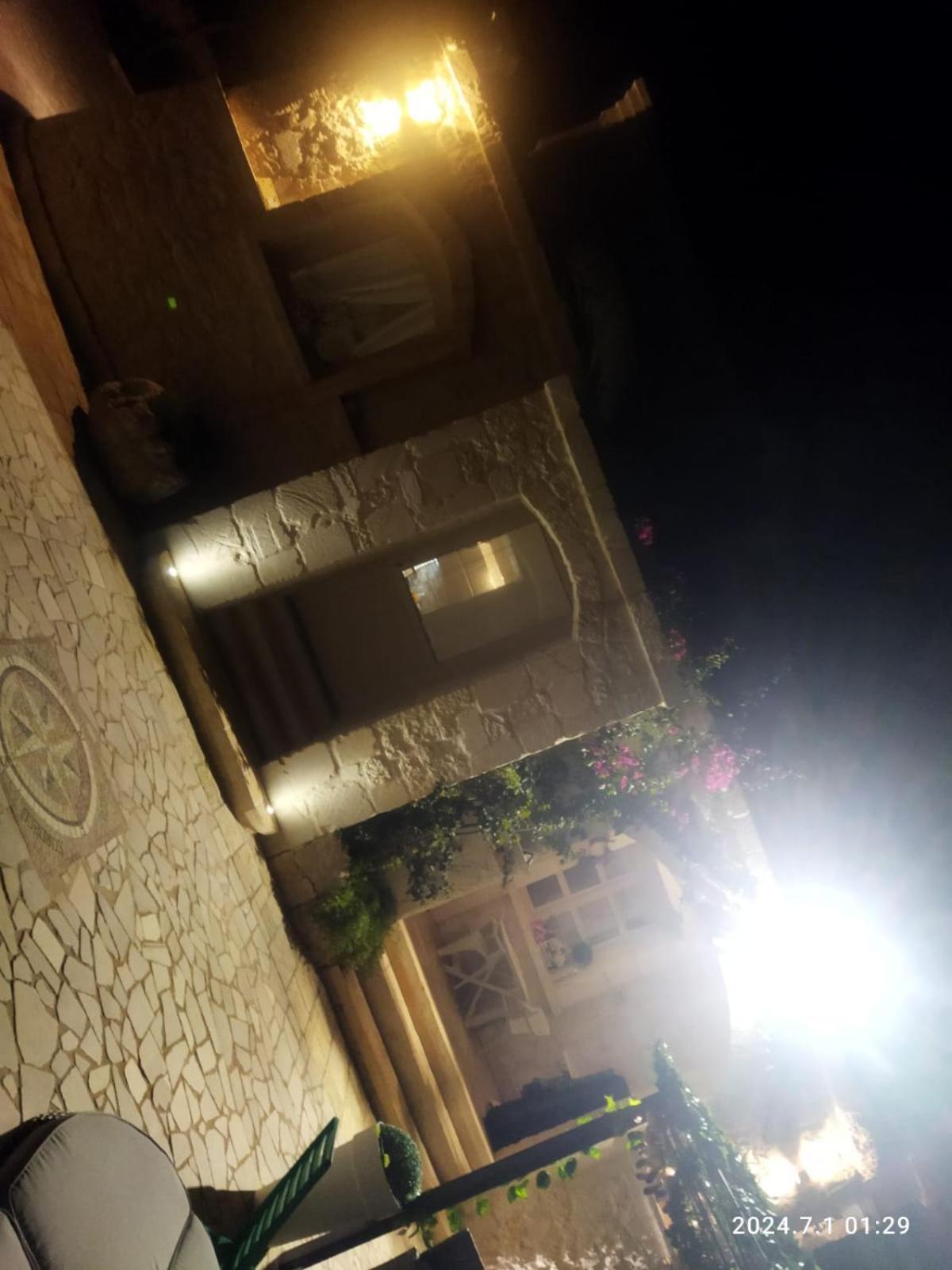 Brachychiton Ostuni