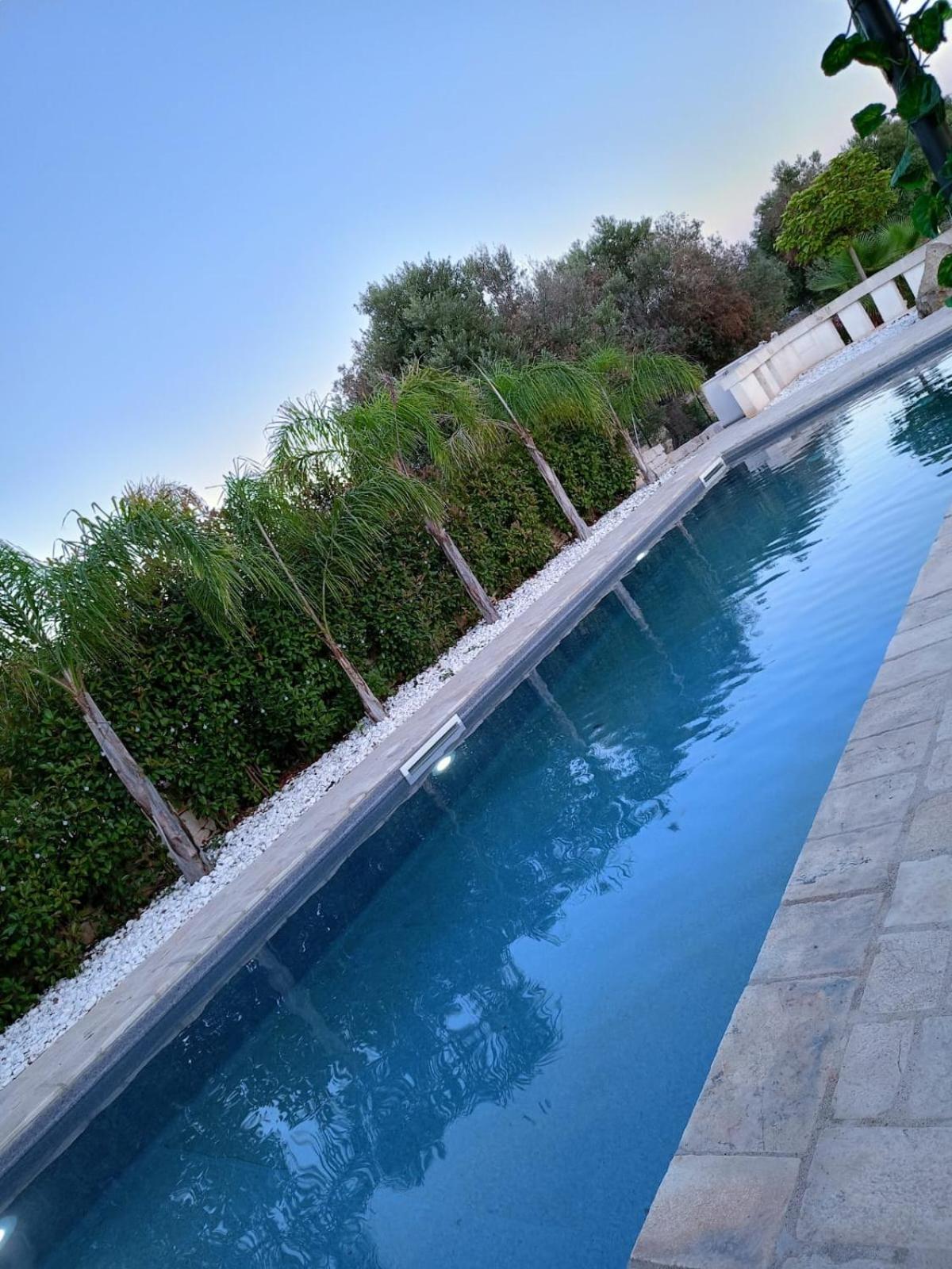 Brachychiton Holiday home