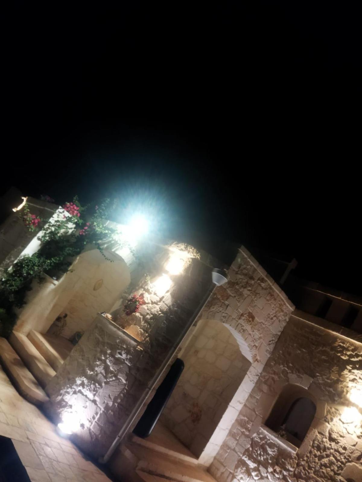 Brachychiton * Ostuni